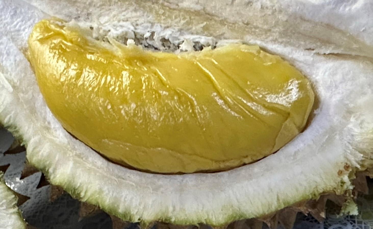 光化榴莲王 果肉饱满